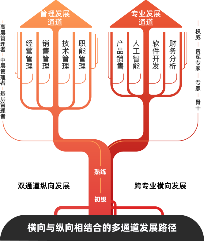 职业发展 价值绽放