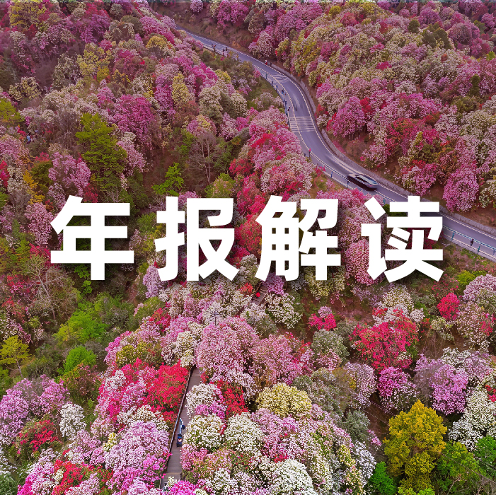 k8凯发(中国)天生赢家·一触即发2025营收利润双增，全栈智能驱动增长，AI相关业务收入占比达52.6%   